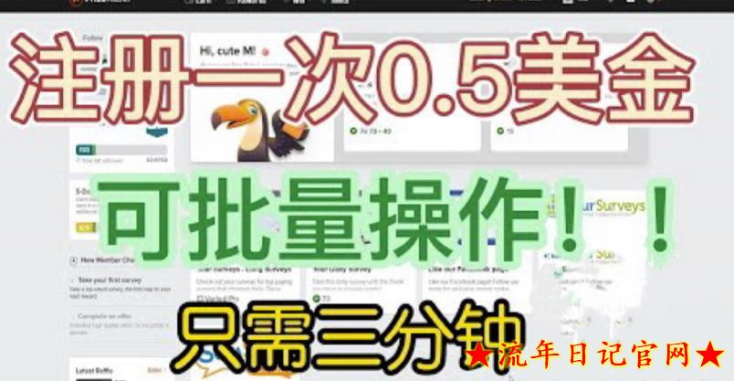 2023国外项目注册一次0.5美金，只需三分钟无脑操作，可批量同时放大操作，小白工作室福利【揭秘】-流年日记