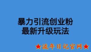2023价值1980一千个野路子暴力引流最新升级玩法【揭秘】-流年日记
