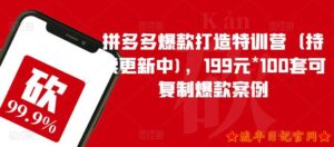 2023拼多多爆款打造特训营(持续更新中),199元*100套可复制爆款案例-流年日记
