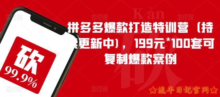 2023拼多多爆款打造特训营（持续更新中)，199元*100套可复制爆款案例-流年日记