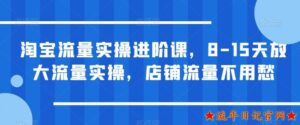 2023淘宝流量实操进阶课,8-15天放大流量实操,店铺流量不用愁-流年日记