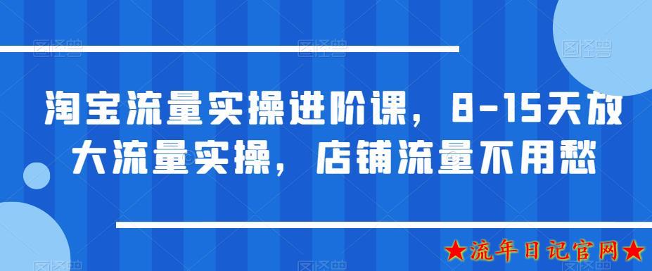 2023淘宝流量实操进阶课，8-15天放大流量实操，店铺流量不用愁-流年日记