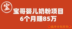 2023宝哥婴儿奶粉项目,6个月赚85w【图文非视频】【揭秘】-流年日记