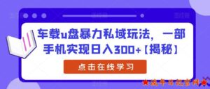 2023车载u盘暴力私域玩法,一部手机实现日入300+【揭秘】-流年日记