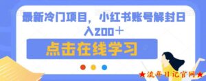 2023最新冷门项目,小红书账号解封日入200+【揭秘】-流年日记