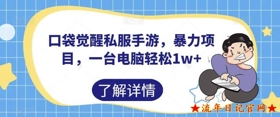 2023口袋觉醒私服手游，暴力项目，一台电脑轻松1w+【揭秘】-流年日记