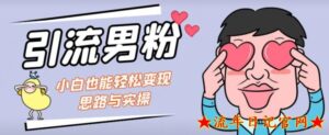 2023引流男粉+小白也能暴力变现的思路与实操【揭秘】-流年日记