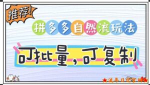 拼多多自然流玩法,可复制,可落地,可批量的无货源项目-流年日记