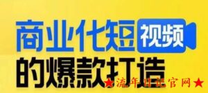 商业化短视频的爆款打造课,带你揭秘爆款短视频的底层逻辑-流年日记