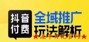 抖音付费全域推广玩法解析,抓住平台红利,小付费撬动大流量-流年日记