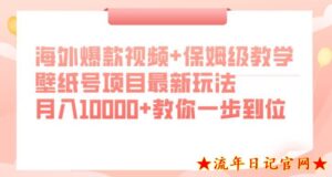 海外爆款视频+保姆级教学,壁纸号项目最新玩法,月入10000+教你一步到位【揭秘】-流年日记