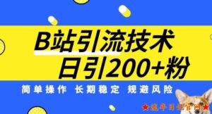 B站引流技术:每天引流200精准粉,简单操作,长期稳定,规避风险-流年日记