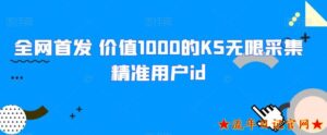 全网首发 价值1000的KS无限采集精准用户id-流年日记
