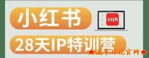 28天小红书博主IP特训营(第3期)实战经验,快速涨粉,迅速变现-流年日记