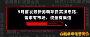 9月首发最新男粉项目实操思路-需求有市场,流量有渠道【揭秘】-流年日记
