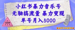 小红书暴力音乐号,无脑搞流量暴力变现,单号月入5000-流年日记