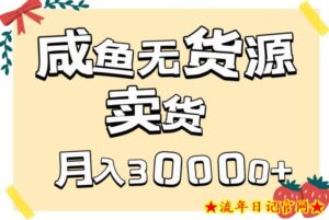 副业咸鱼无货源卖货详细教程,有手就会,月入3000+-流年日记