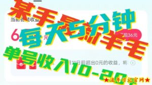 人可做的快手答题,单号一天5分钟撸6-20+!-流年日记