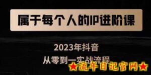 属于创作者的IP进阶课,短视频从0-1,思维与认知实操,3大商业思维,4大基础认知-流年日记