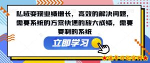 私域变现业绩增长,高效的解决问题,需要系统的方案快速的放大成绩,需要复制的系统-流年日记