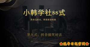 小韩学社88式第九式:最新抖音搞笑对话项目-流年日记