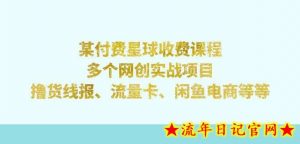 某付费星球课程:多个网创实战项目,撸货线报、流量卡、闲鱼电商等(文档非视频)-流年日记