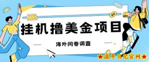 最新挂机撸美金礼品卡项目，可批量操作，单机器200+【入坑思路+详细教程】-流年日记