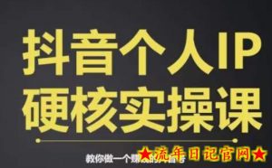 个人IP创富系统实战课,商业定位,流量打造,短视频变现,教你做个赚钱的抖音号-流年日记
