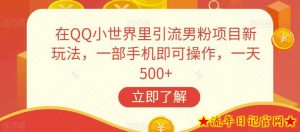 在QQ小世界里引流男粉项目新玩法,一部手机即可操作,一天500+【揭秘】-流年日记
