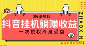 抖音全自动挂机，一次授权躺赚终身受益，单号收益10-500左右，0投资项目-流年日记