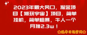 2023年最大风口,掘金项目【潮玩宇宙】,简单挂机,简单粗暴,牛人一个月撸2.3w!-流年日记