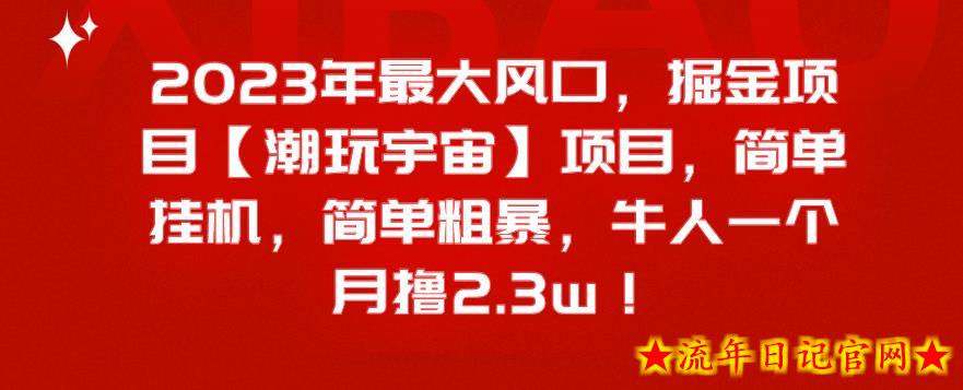 2023年最大风口，掘金项目【潮玩宇宙】，简单挂机，简单粗暴，牛人一个月撸2.3w！-流年日记