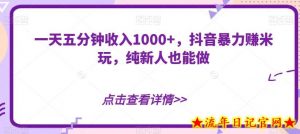 一天五分钟收入1000+,抖音暴力赚米玩,纯新人也能做-流年日记