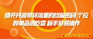 撬开抖音带货流量的终极密码 个位数单品很吃香 新手容易操作-流年日记