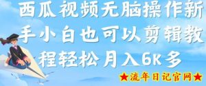 西瓜视频搞笑号,无脑操作新手小白也可月入6K-流年日记