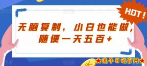 无脑复制，小白也能做，随便一天五百+-流年日记