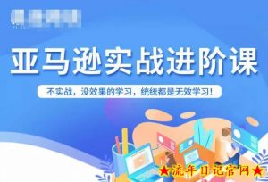 亚马逊FBA运营进阶课,不实战,没效果的学习,统统都是无效学习-流年日记