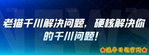 老猫千川解决问题,硬核解决你的千川问题!-流年日记