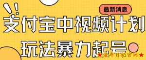 支付宝中视频玩法暴力起号影视起号有播放即可获得收益(带素材)-流年日记