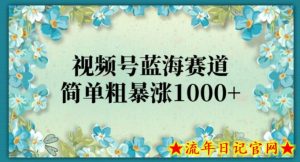 视频号蓝海赛道,简单粗暴涨1000+-流年日记