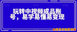 玩转中视频成品账号，易学易懂易变现-流年日记