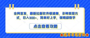 全网首发，最新拉新软件极速蜂，多种变现方式，日入300+，简单好上手，保姆级教学【揭秘】-流年日记