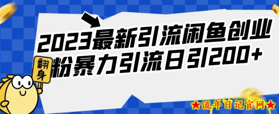 2023最新引流闲鱼创业粉暴力引流日引200+【揭秘】-流年日记