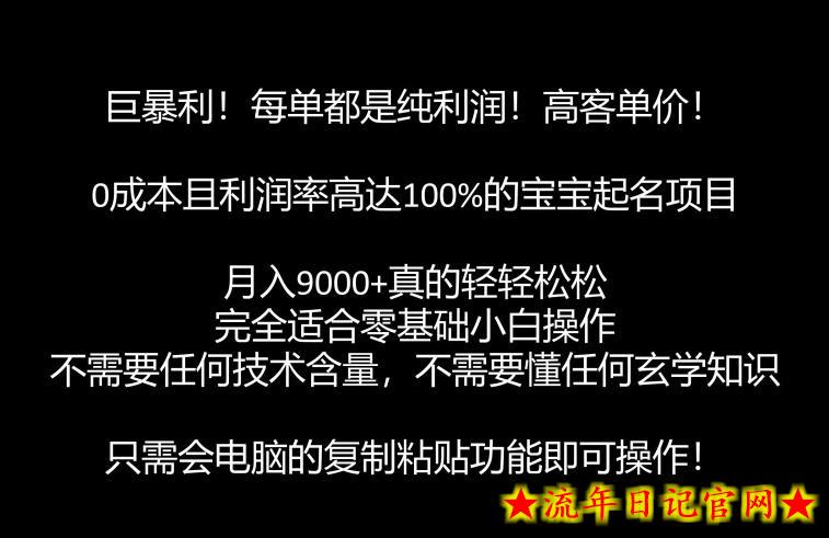 巨暴利，月入9000+的宝宝起名项目，每单都是纯利润，零基础都能躺赚【附软件+视频教程】-流年日记