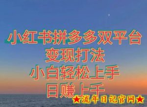 拼多多小红书双平台变现打法,小白轻松上手-流年日记