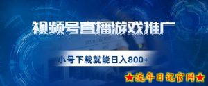 视频号游戏直播推广,用小号点进去下载就能日入800+的蓝海项目【揭秘】-流年日记