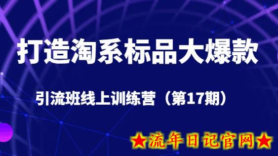 打造淘系标品大爆款引流班线上训练营（第17期）5天直播授课-流年日记