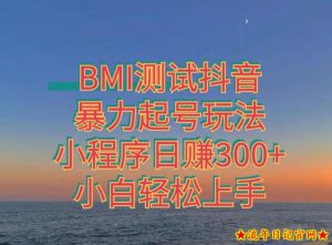 神图抖音小程序项目4.0版引流,日入300+暴力玩法小白轻松上手-流年日记