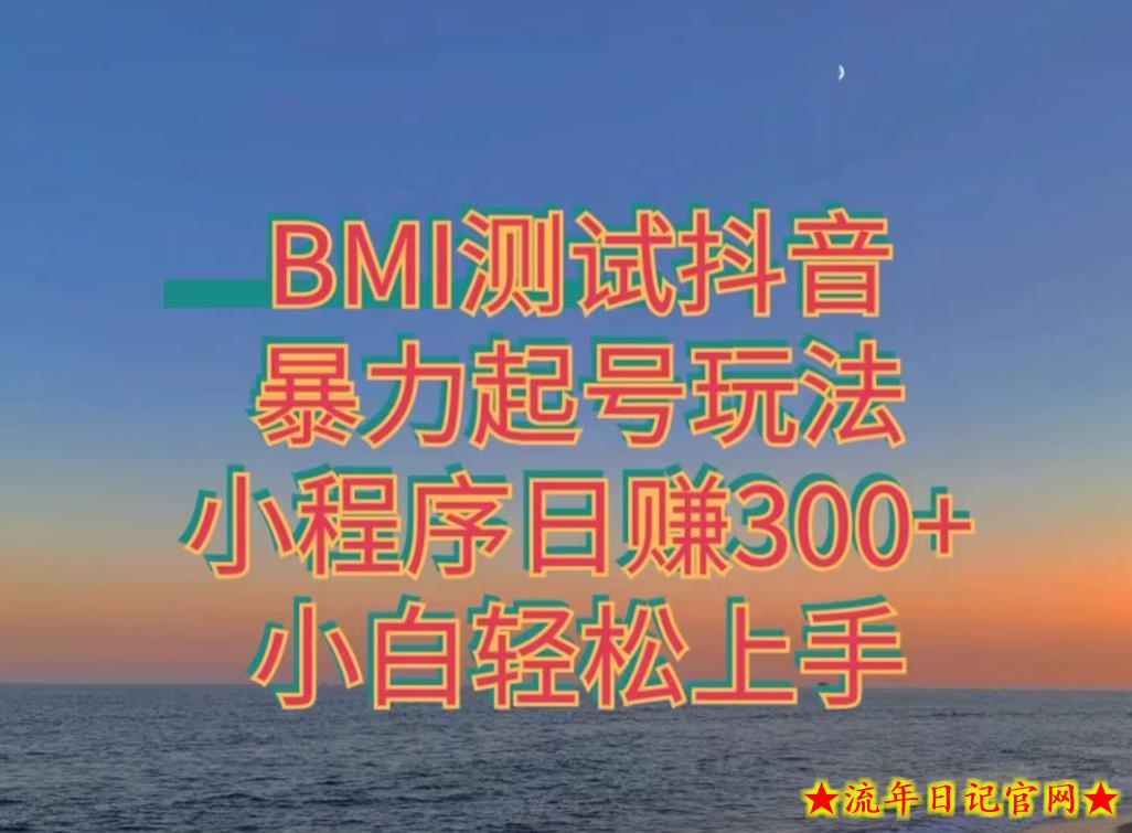 神图抖音小程序项目4.0版引流，日入300+暴力玩法小白轻松上手-流年日记