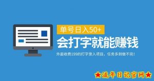 外面收费199的打字录入项目,单号日入50+,会打字就能赚钱,任务多到做不完!-流年日记